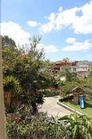 Un jardín con un parque infantil, que incluye un tobogán, rodeado de diversas plantas y árboles.