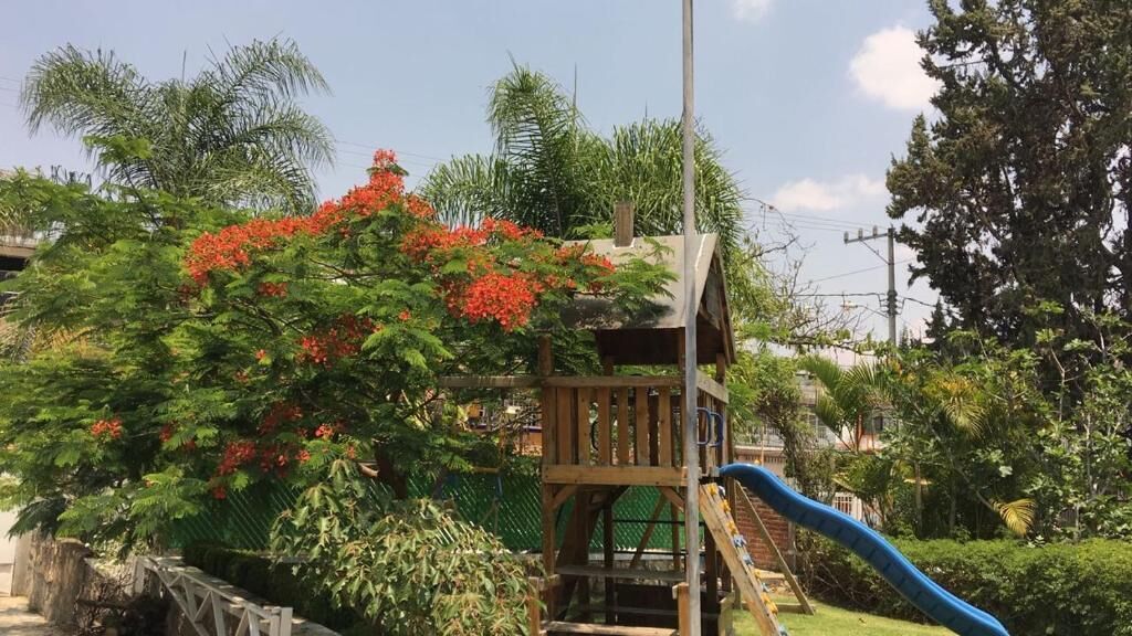 Una estructura de juego de madera con un tobogán, rodeada de exuberante follaje y flores rojas.