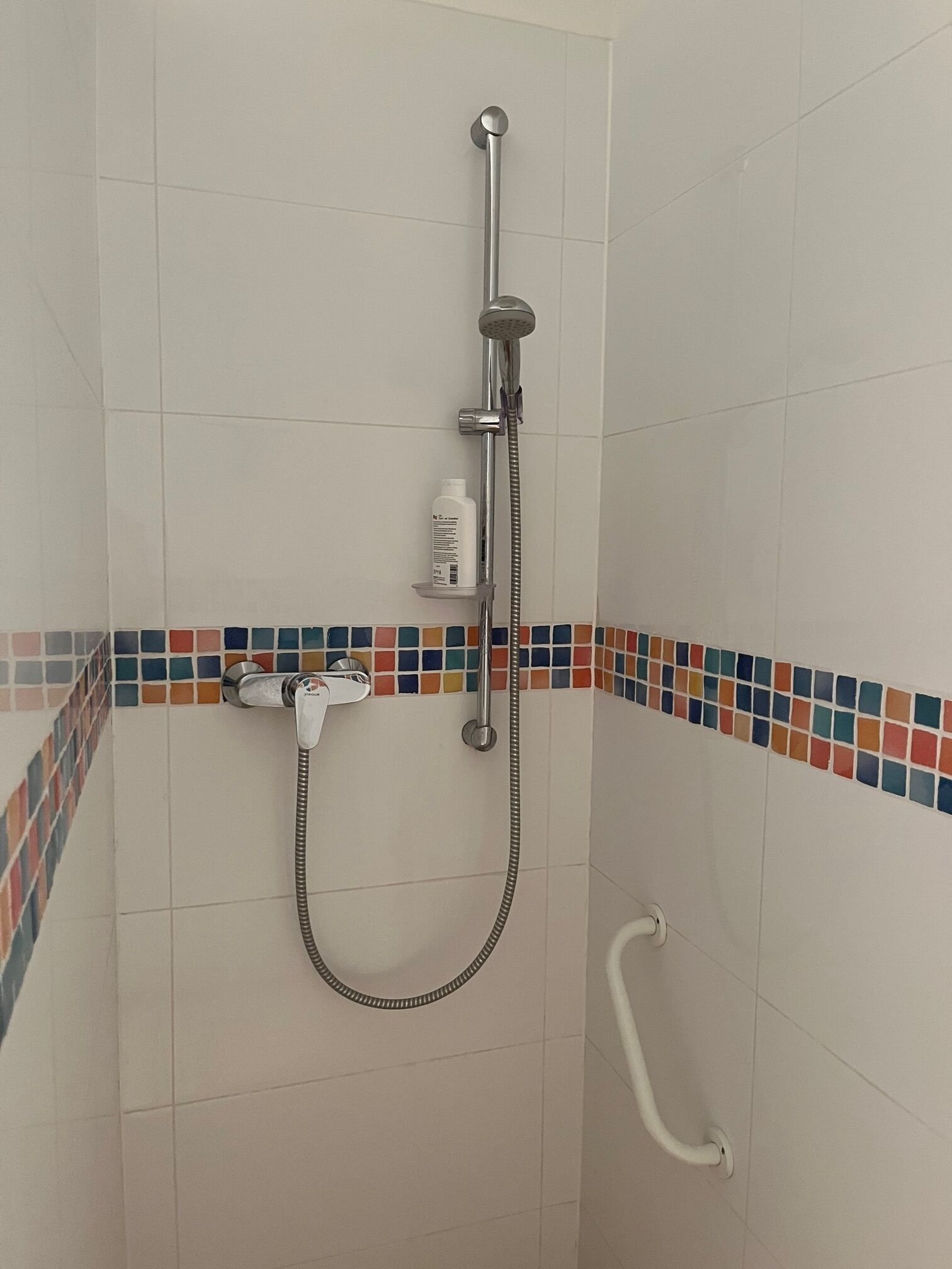 A shower area with a handheld showerhead and a wall-mounted faucet.