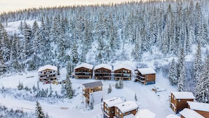 Una cabaña con varias construcciones de madera rodeada por un denso bosque de árboles cubiertos de nieve.