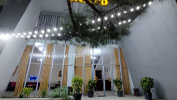 外观细节