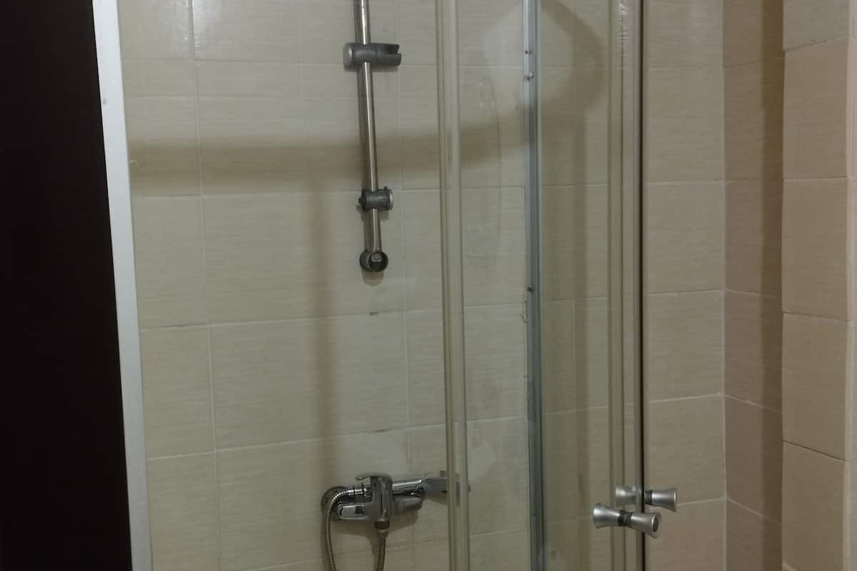 shower, hydromassage showerhead, eco-friendly toiletries, bidet