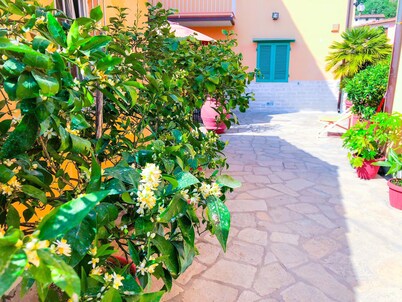 Cuore di Nozzano Castello