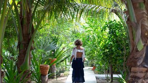 Een pad omringd door weelderige begroeiing en planten.