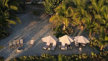 A beach resort with palm trees, sun loungers, and umbrellas.