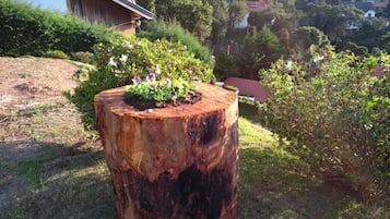 Jardín