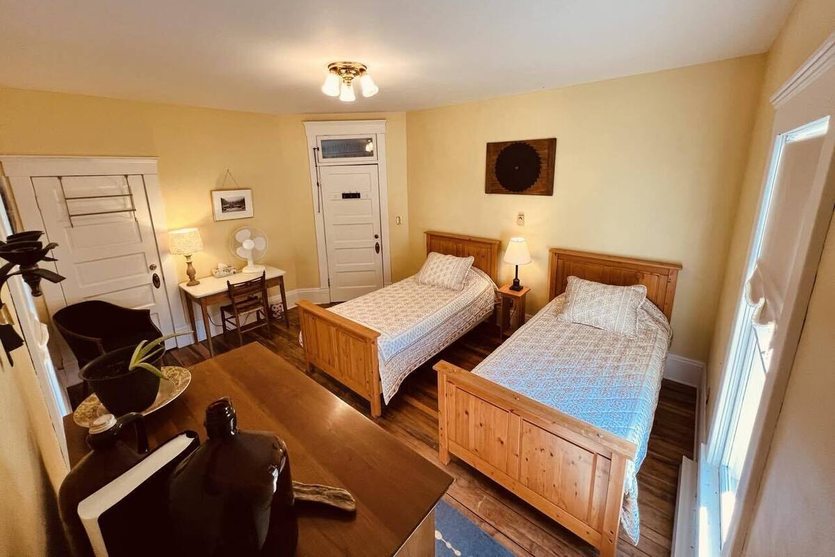 A room with two wooden beds, a desk, a chair, a small table with a plant, and a ceiling fan.