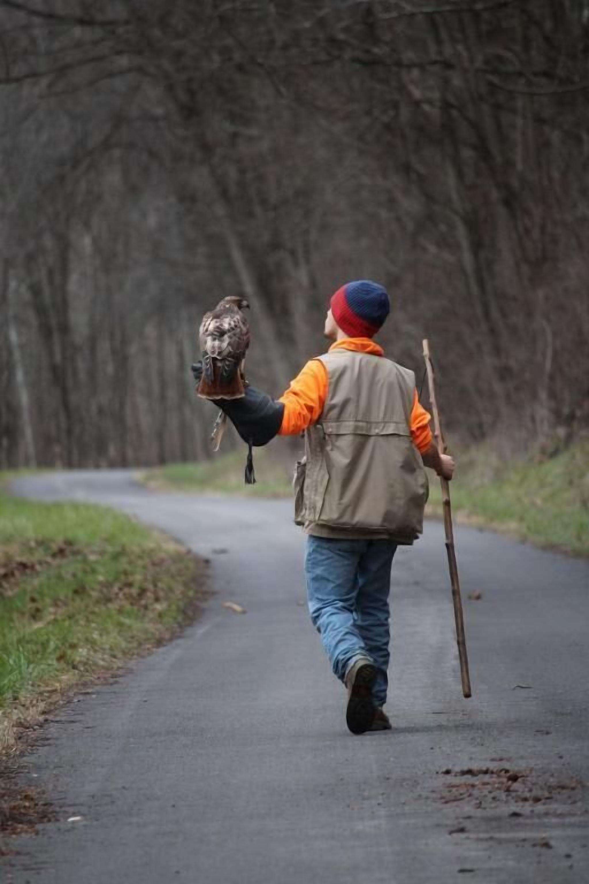 Una persona caminando por un camino con un pájaro en la mano y un bastón.