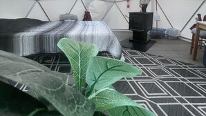 Een tent met twee bedden, een kachel en een grote plant.