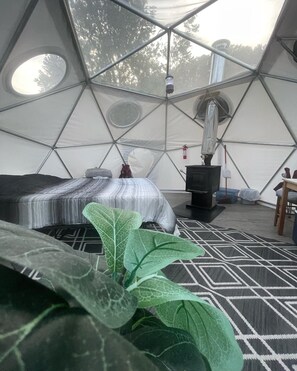 Stargazing Glamping Dome (off grid) | Individually decorated, individually furnished, free WiFi, bed sheets - Laurel River Club Bed & Breakfast (Davis)