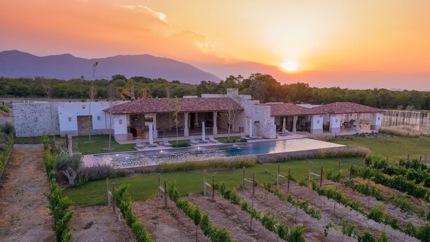 Une villa avec piscine, espace extérieur aménagé et vignoble.
