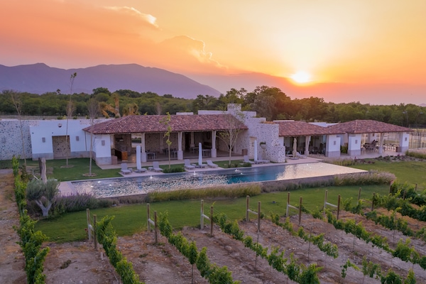 Outdoor pool, pool umbrellas, sun loungers