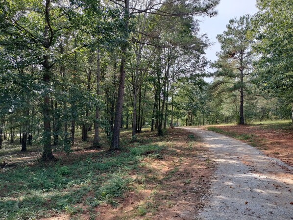 Terrain de l’hébergement 