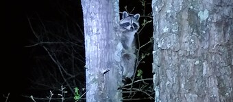Full Hookup RV site-Pet Friendly! Big Foot Trail at Hairy Hiker Woods
