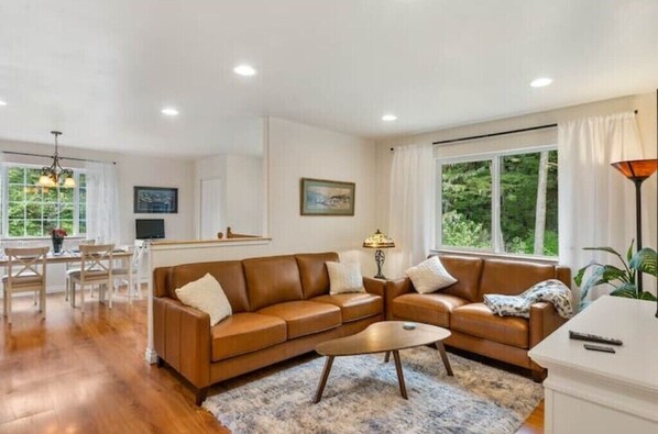 TV connectée, cheminée, livres, écrans d'ordinateur