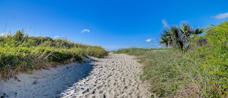 Strand