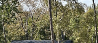 Newly constructed waterfront cabin C1 with pond and Trinity River views