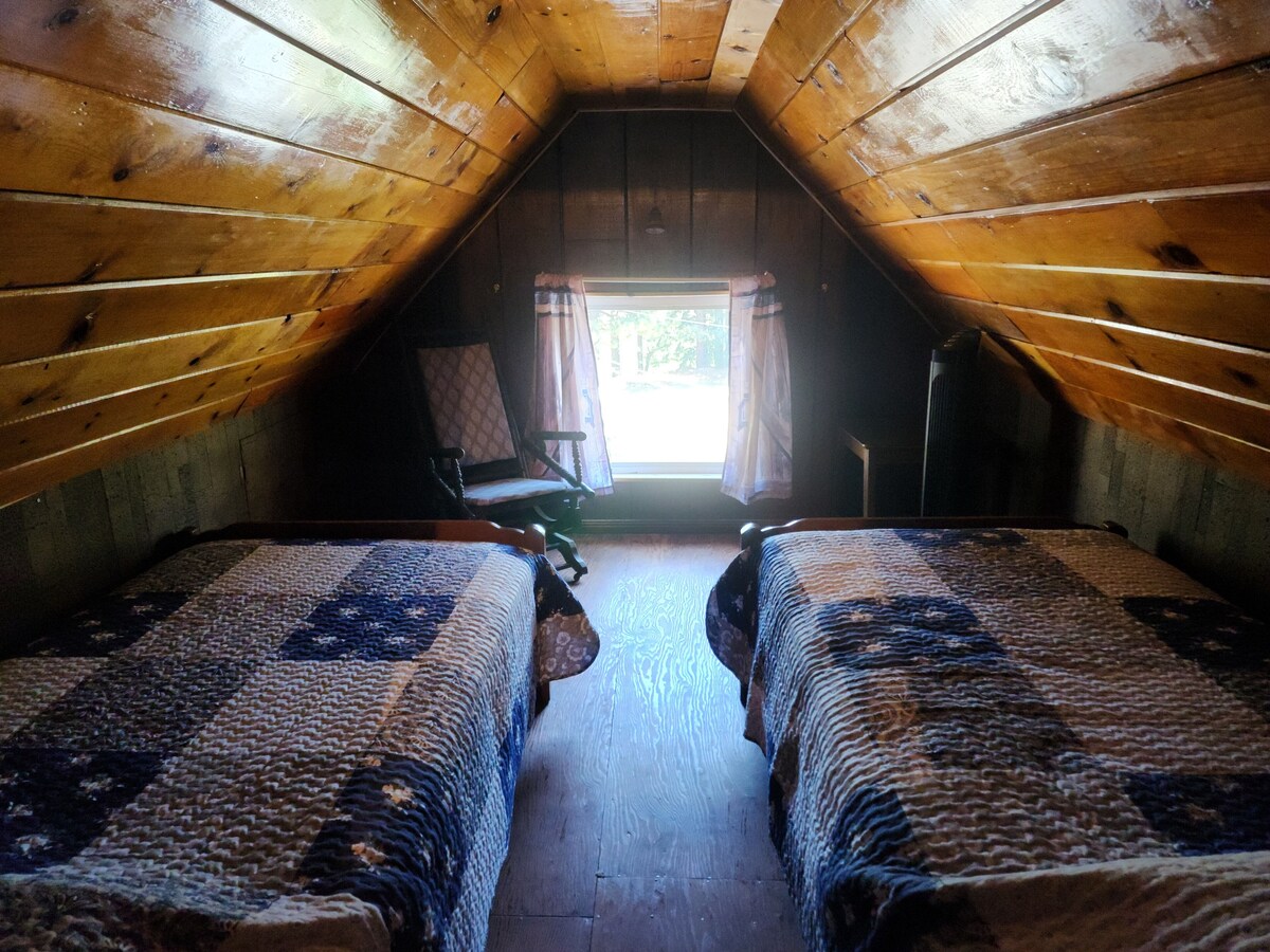 Imagen de perfil del propietario o de la propietaria