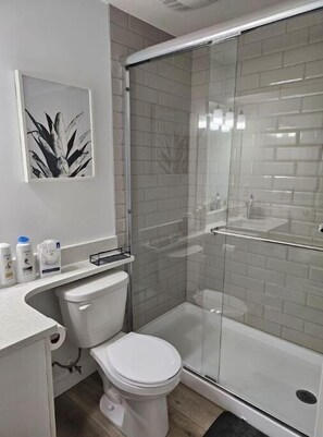 Douche, sèche-cheveux, serviettes fournies, savon