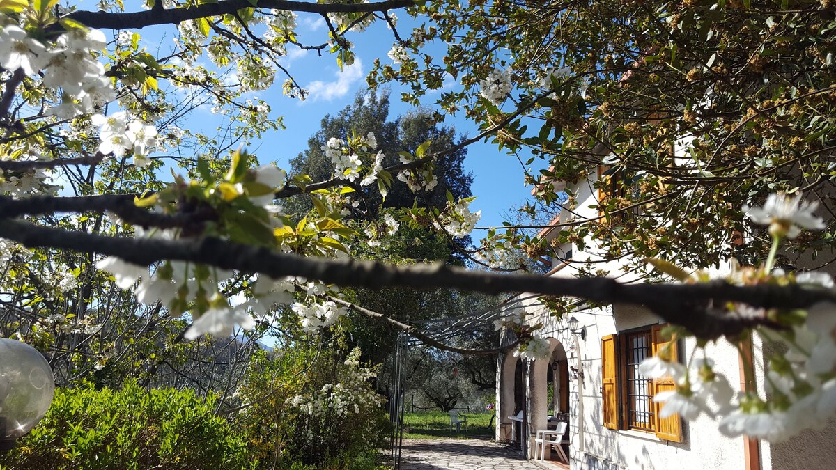 Bild für Gastgeberprofil