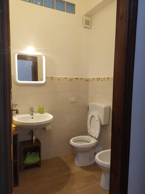 Een douche, een haardroger, een bidet, handdoeken