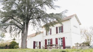 A two-story white building with red shutters, a bench, and a large tree in front.