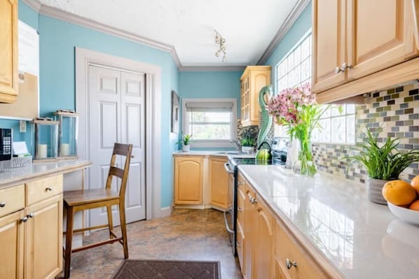 Kitchen with a white door, window, and countertop, featuring a chair and a potted plant.