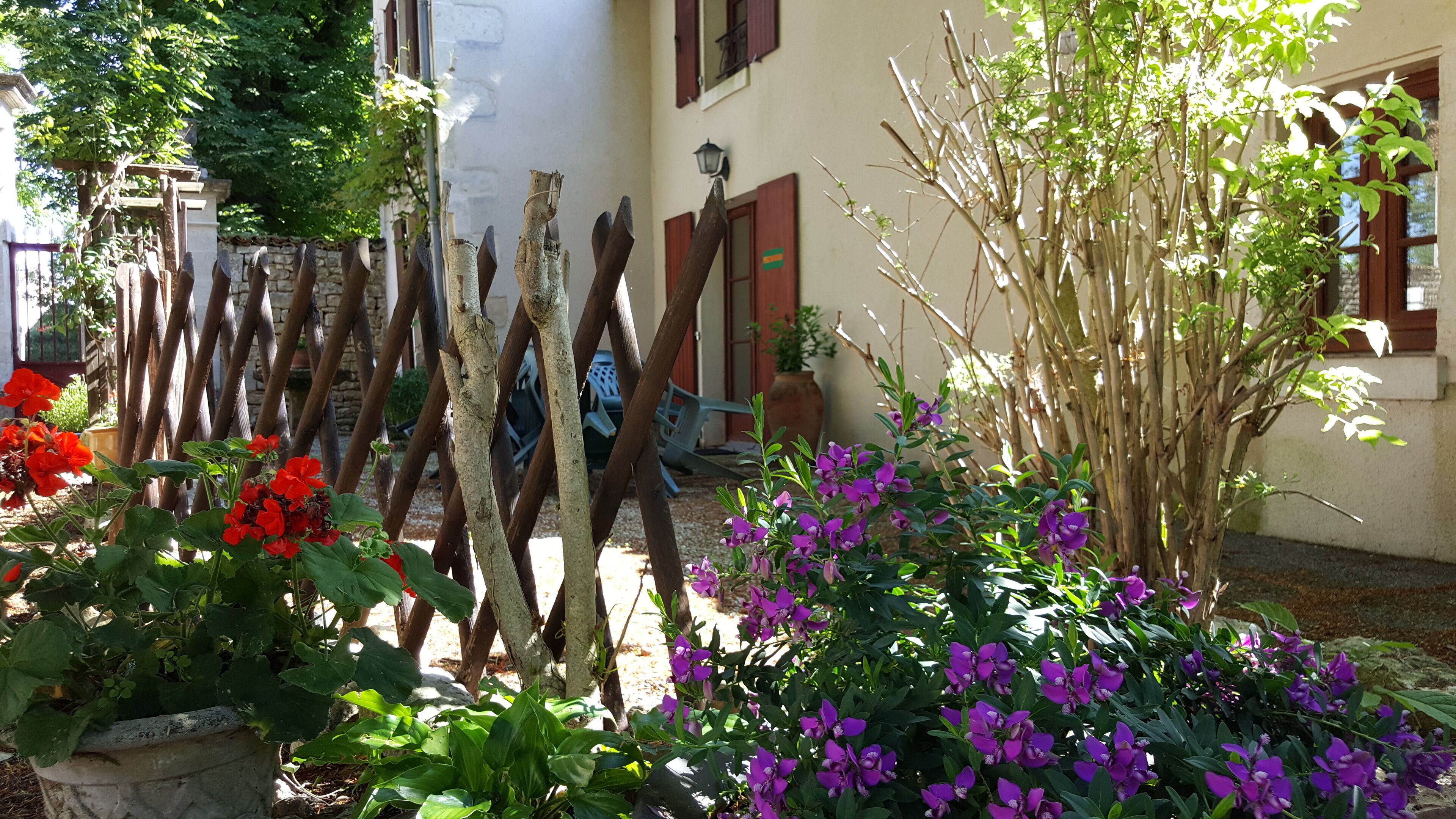 Ein Garten mit verschiedenen Pflanzen und einem Holzzaun.