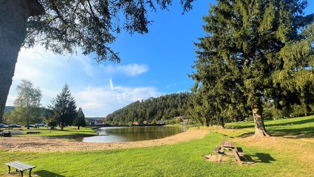 Ein Park am Seeufer mit Picknicktischen und Bänken, umgeben von Bäumen und blauem Himmel.