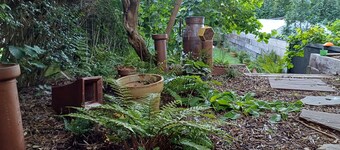 Greengage House, peaceful and relaxing in the city