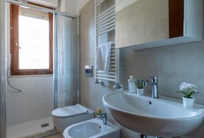Shower, hair dryer, bidet, towels