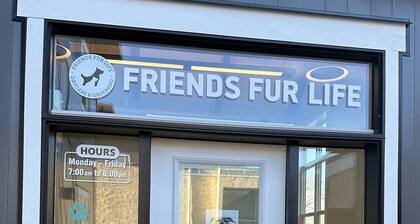 Summer Suite - Pet Friendly - Duke's Place