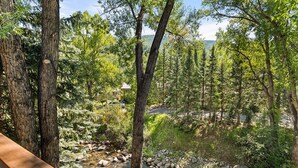Une zone boisée avec un ruisseau, une terrasse en bois et une route en arrière-plan.