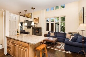 TV, fireplace - Fifth Avenue Unit 205 | Spacious 1 BR + Loft with Air Conditioning. Close to Ski Slopes! (Aspen)