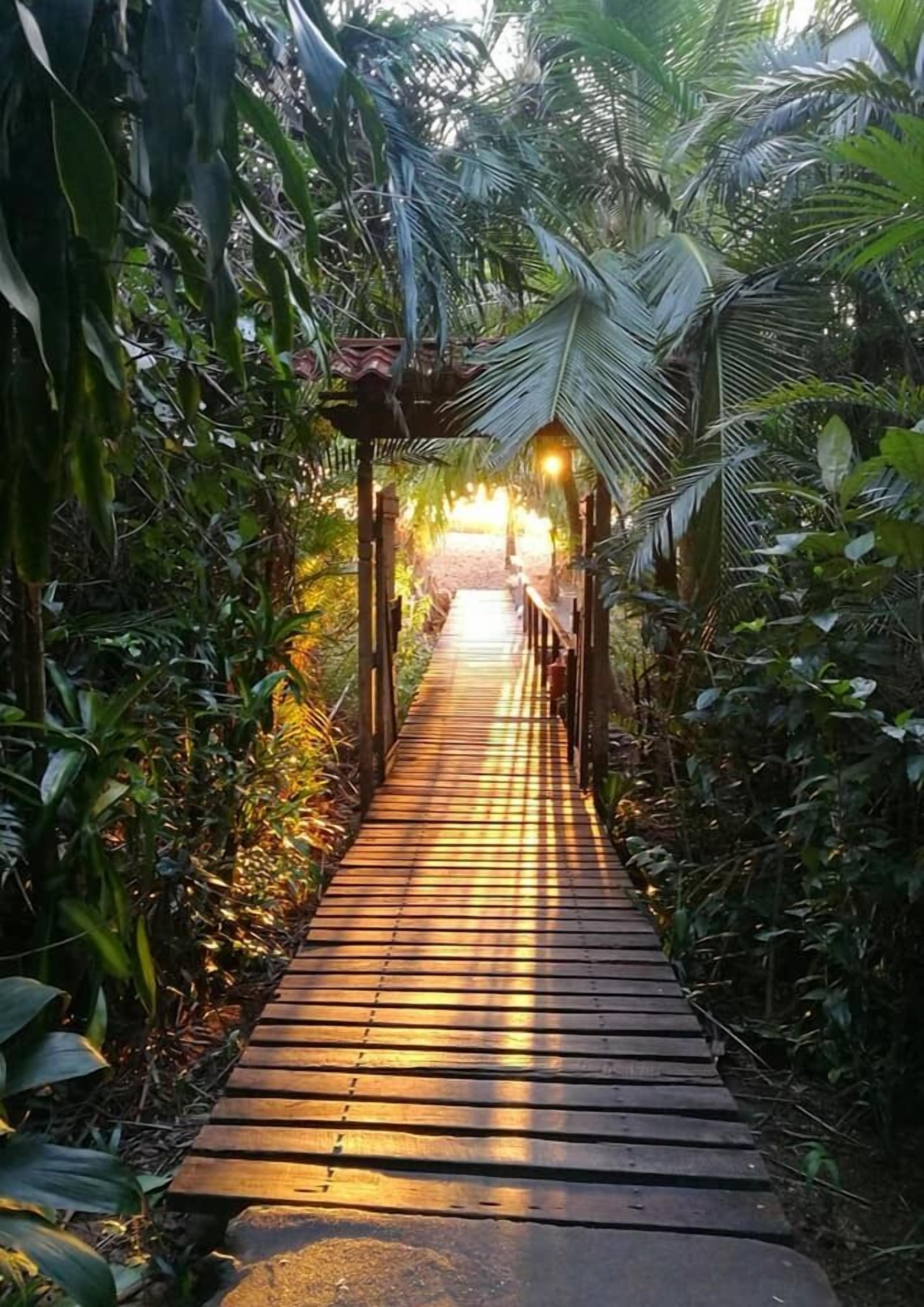A wooden pathway leading through a lush garden with dense foliage on either side.