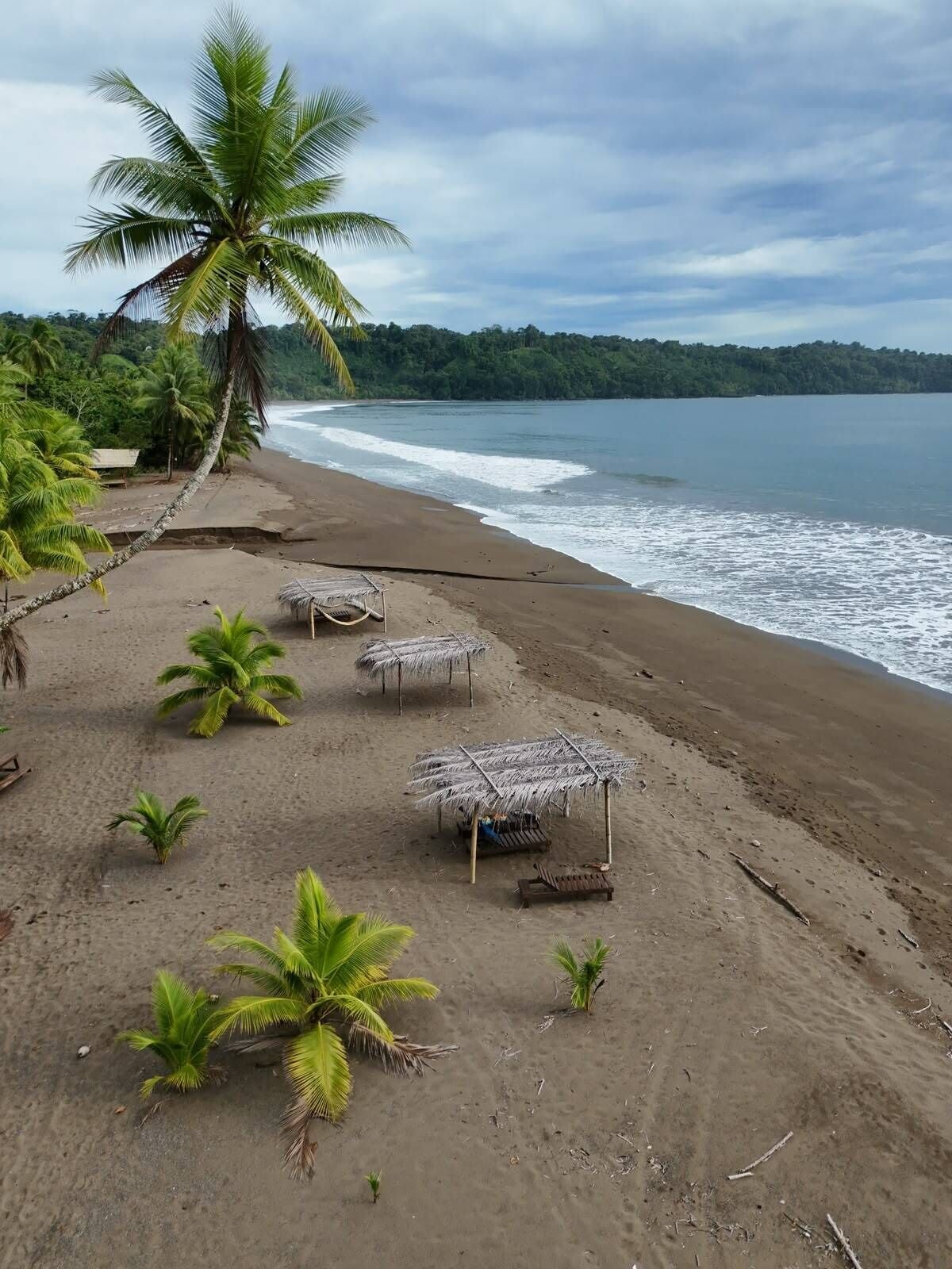 Une plage bordée de palmiers, dotée de parasols en chaume et offrant une vue dégagée sur l’océan.