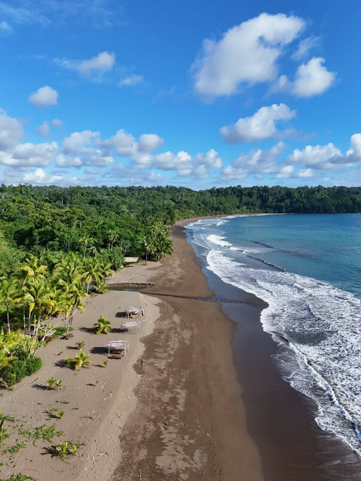 A beach with a clear sky, waves, and dense greenery.