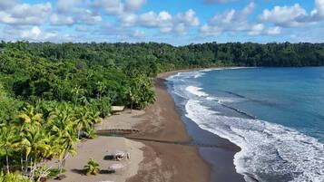 A beach with a clear sky, waves, and dense greenery.