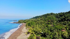 A beach with dense tropical vegetation and a clear view of the ocean. - Ocean Forest Ecolodge Retreat (Drake Bay)