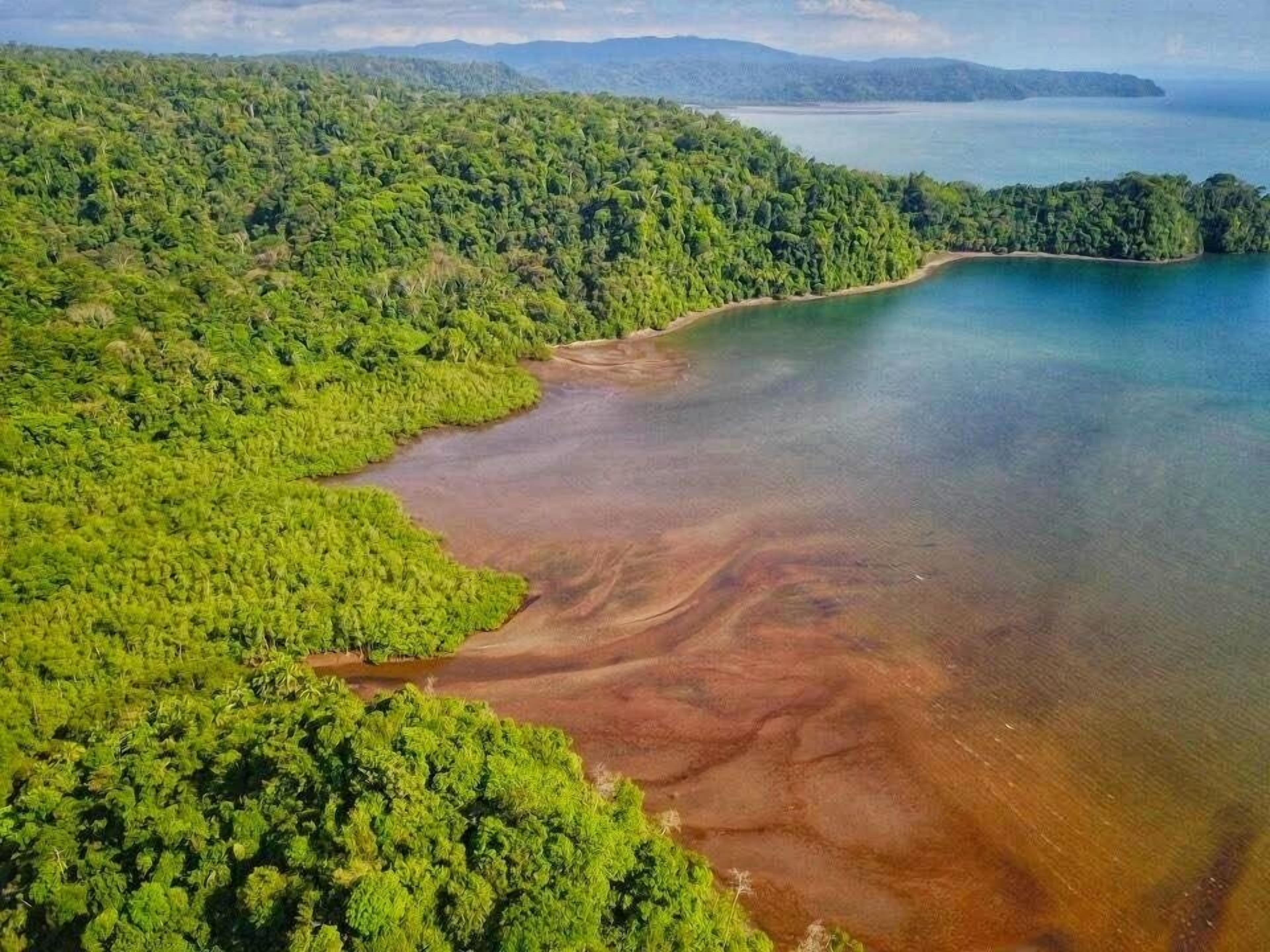 An aerial view of a coastal area with dense green forest and a clear blue sea.