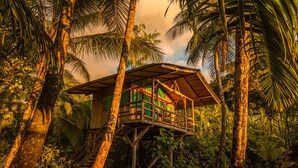A wooden structure with a roof, surrounded by palm trees and greenery. - Ocean Forest Ecolodge Retreat (Drake Bay)