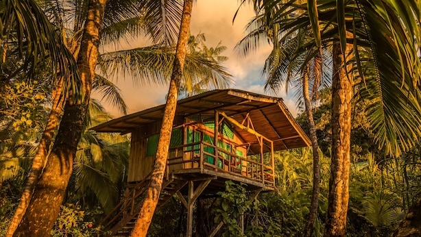 A wooden structure with a roof, surrounded by palm trees and greenery. - Ocean Forest Ecolodge Retreat (Drake Bay)