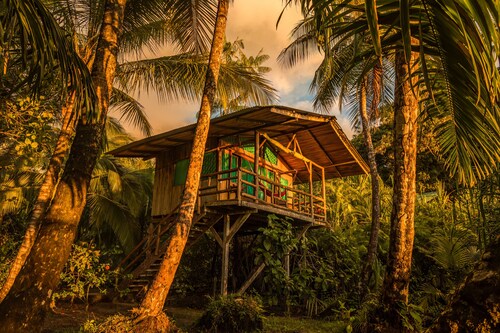 Ocean Forest Ecolodge Retreat