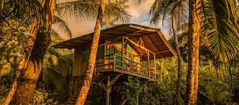 Ocean Forest Ecolodge Retreat