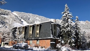 Un edificio con facciata in mattoni e ampie finestre, circondato da alberi innevati e un cielo azzurro limpido.