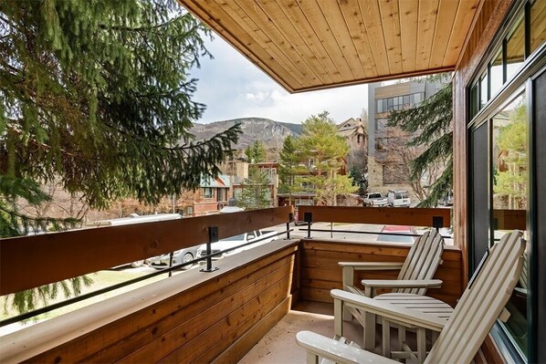 Property grounds - Fasching Haus Unit 180 | Cozy, Deluxe Condo with Private Deck, 2 Blocks from Downtown (Aspen)