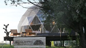 A geodesic dome structure with a wooden deck and seating area, surrounded by trees and a sign reading "ECOGLAMPING Glam Experience". - Ecoglamping Tafí del Valle (Tafi del Valle)