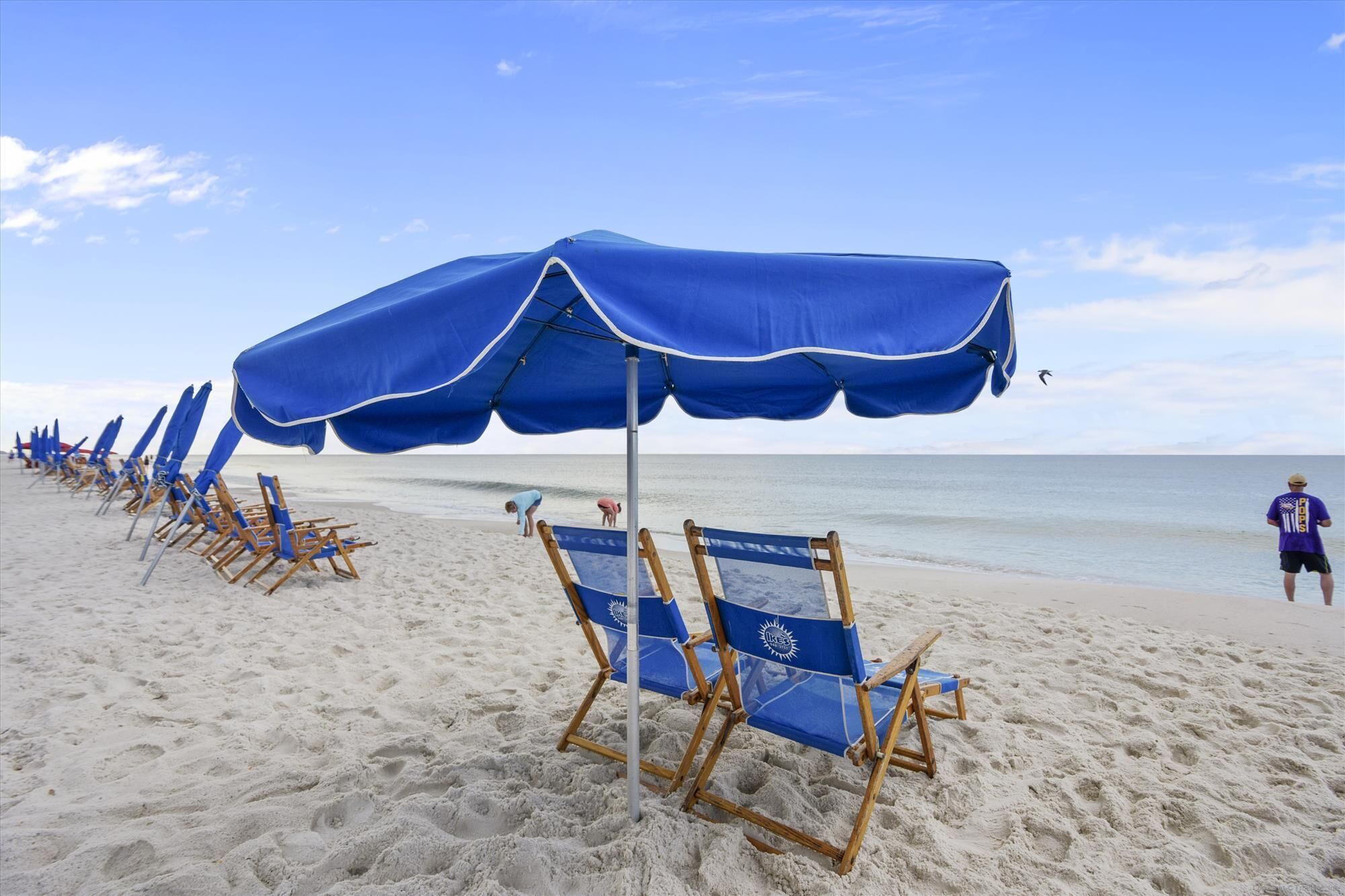 Una playa con hileras de sillas azules y sombrillas.