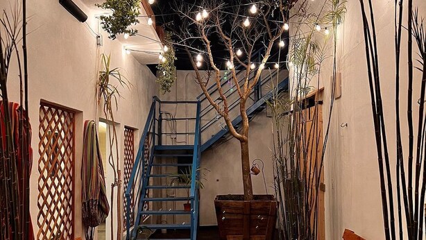 Una escalera con barandillas azules, bancos de madera y un árbol con luces colgantes.