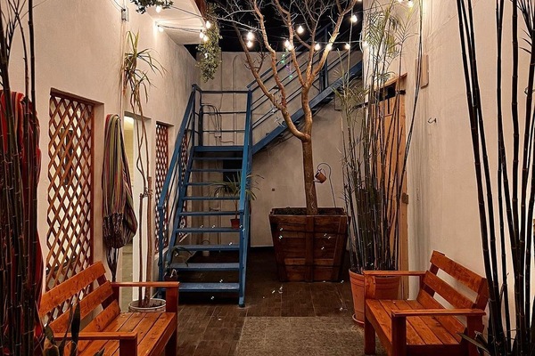 Basic Double Room | Terrace/patio